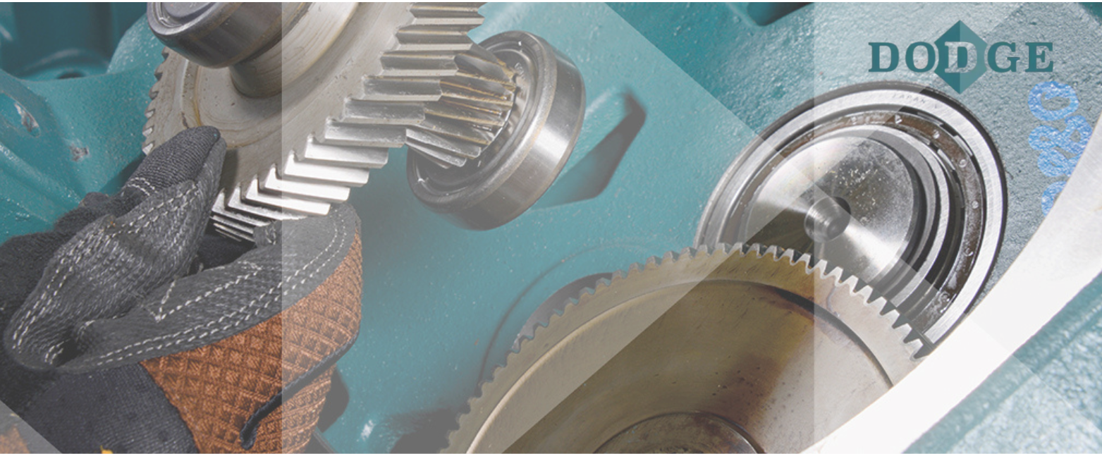 A technician's gloved hand assembling Dodge industrial gears and tapered roller bearings inside a heavy-duty power transmission gearbox.