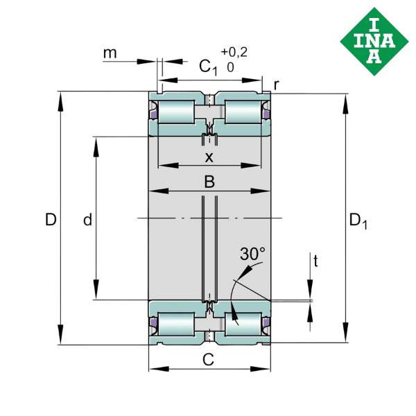 SL04-5009PPX INA