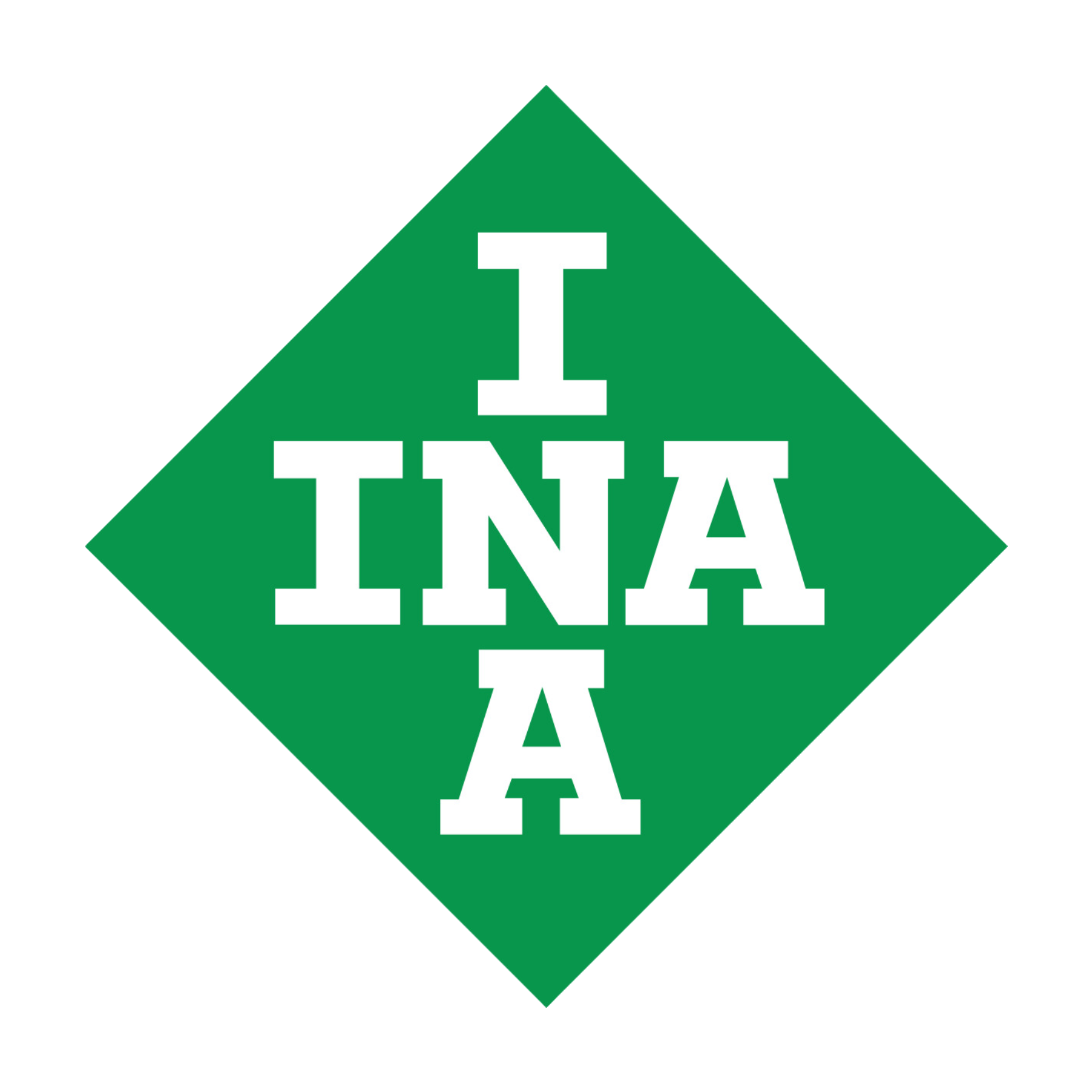 TSN30GG5-200 INA Image