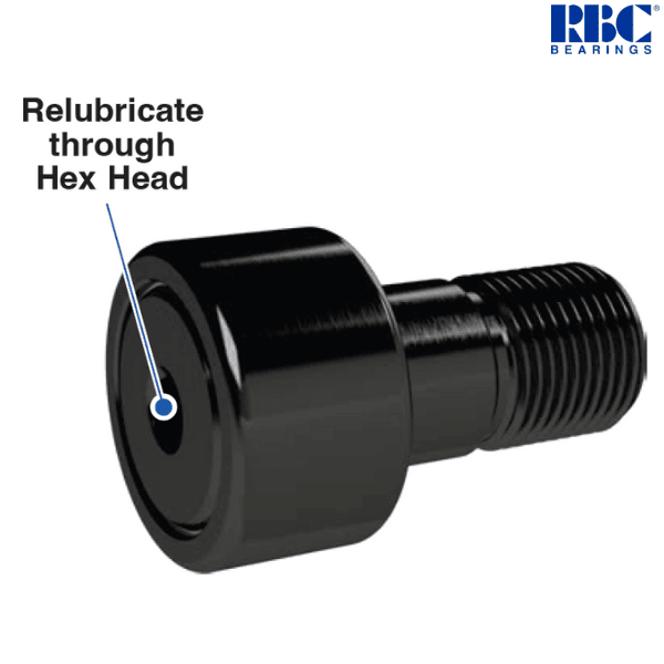 CH 80 LW RBC Image