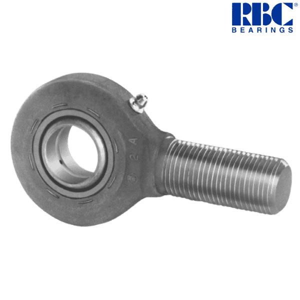 REM2024 RBC Image