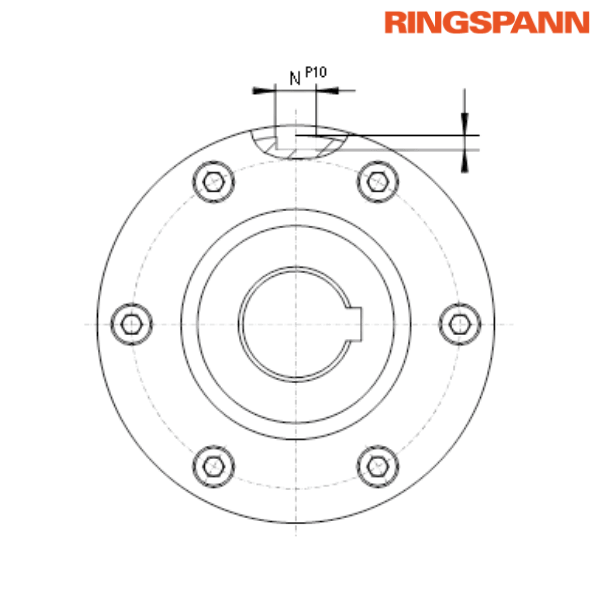 FGRN 55 R A5A6 RINGSPANN