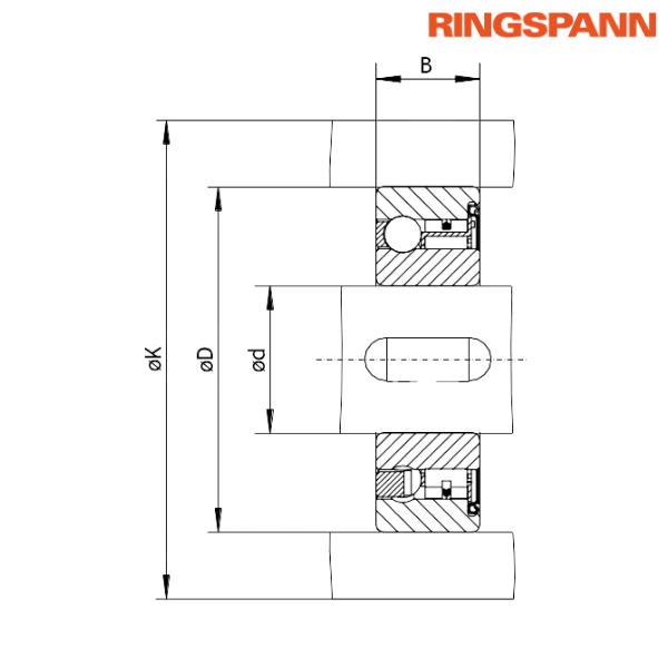 FZ 6207 PP RINGSPANN