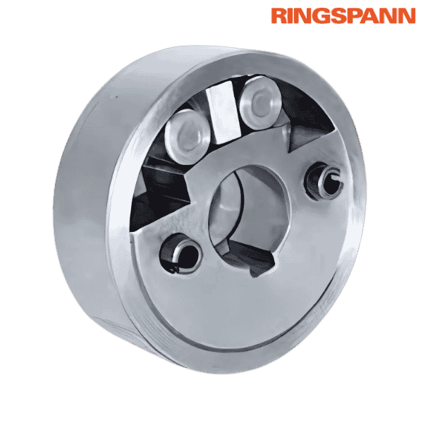 IR 25 R RINGSPANN Image