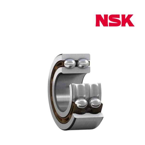 4202BTNGN/YRLN5 NSK Image