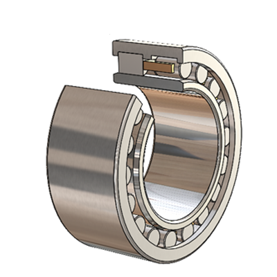 SCHEERER Radial Cylindrical Roller Bearing (Double Row)