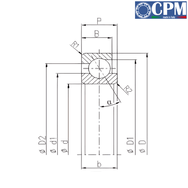 4446 CPM