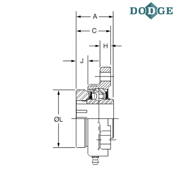 049709 DODGE - LF-DL-012