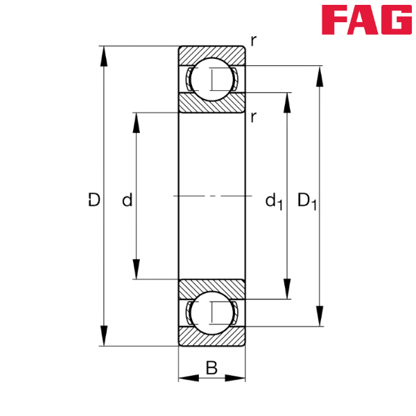 61820-Y FAG