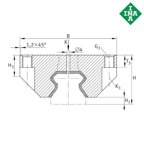 RUDS55X300-D INA