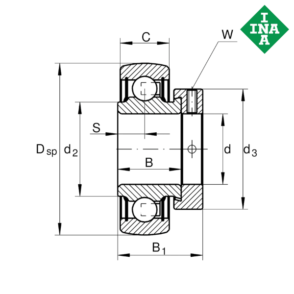 RAE60-NPP-FA101-AH01 INA