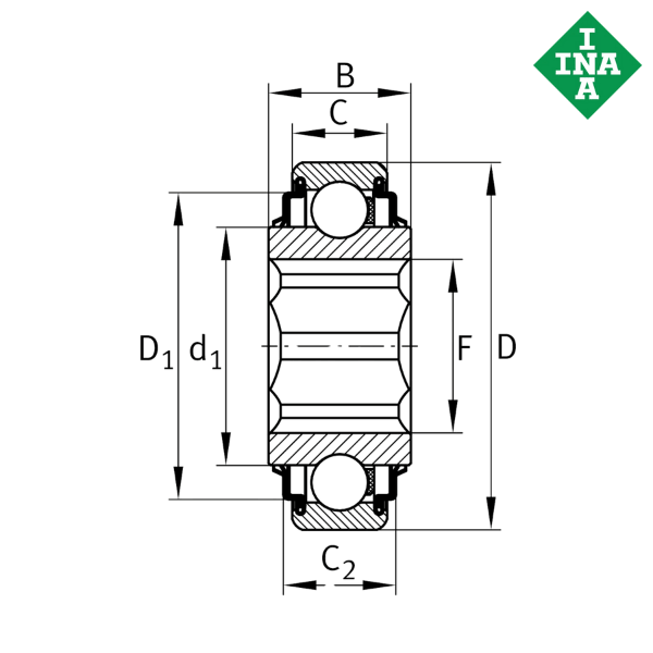 SK100-206-KRR-AH11 INA