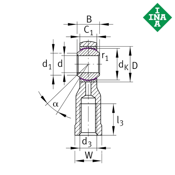 GIKPSR10-PS INA