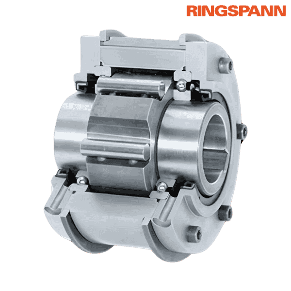 BM 100 R RINGSPANN Image
