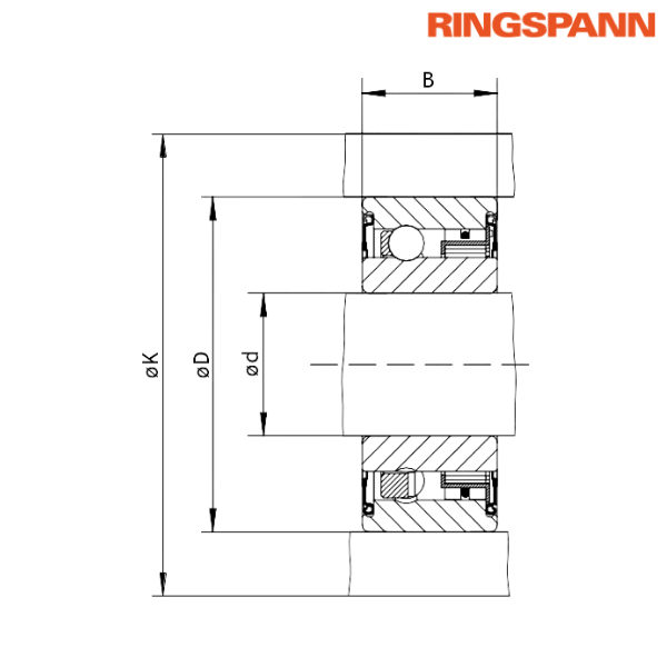 FZ 6206 2RS RINGSPANN