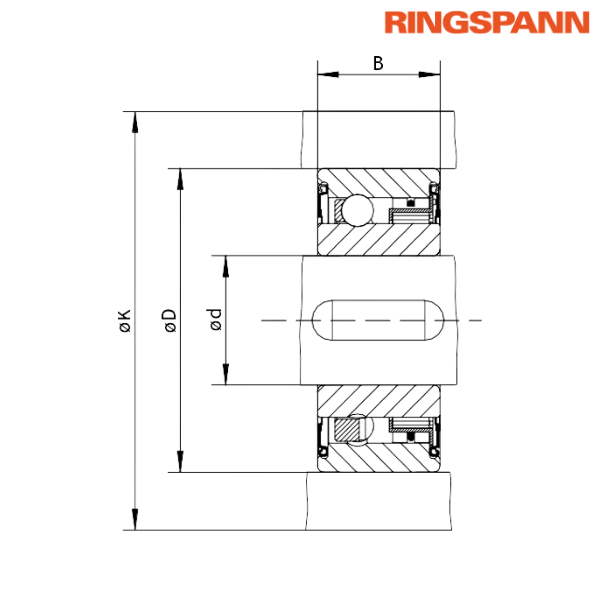 FZ 6203 P2RS RINGSPANN