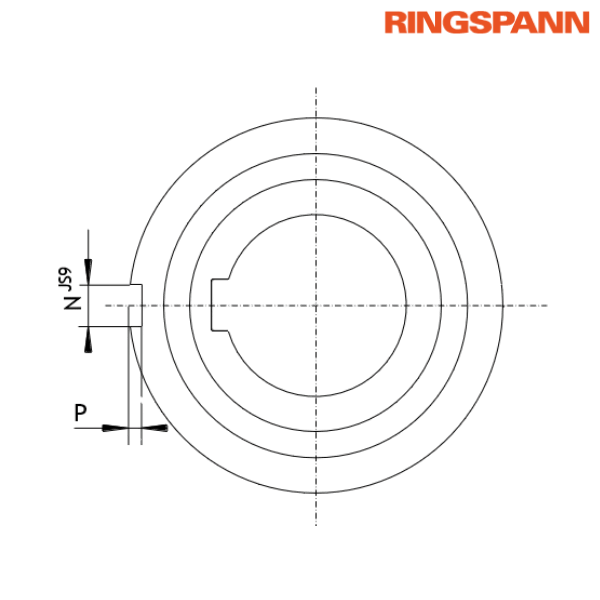 FZ 6204 PP RINGSPANN