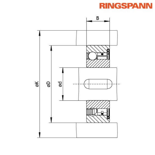 FZ 6205 P RINGSPANN