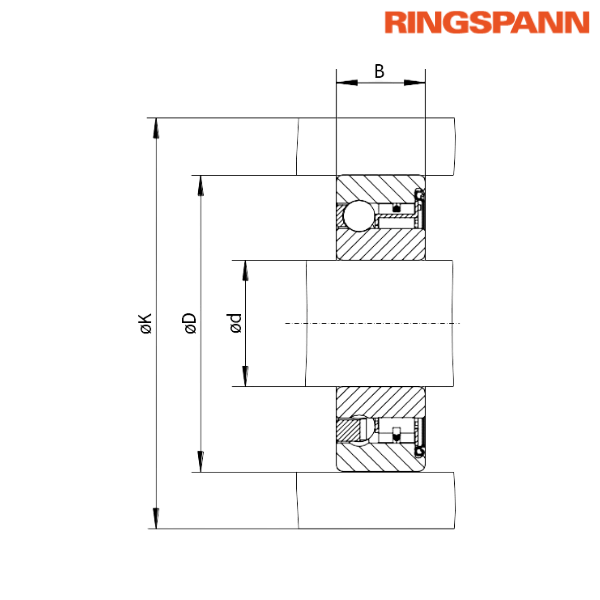 FZ 6201 RINGSPANN