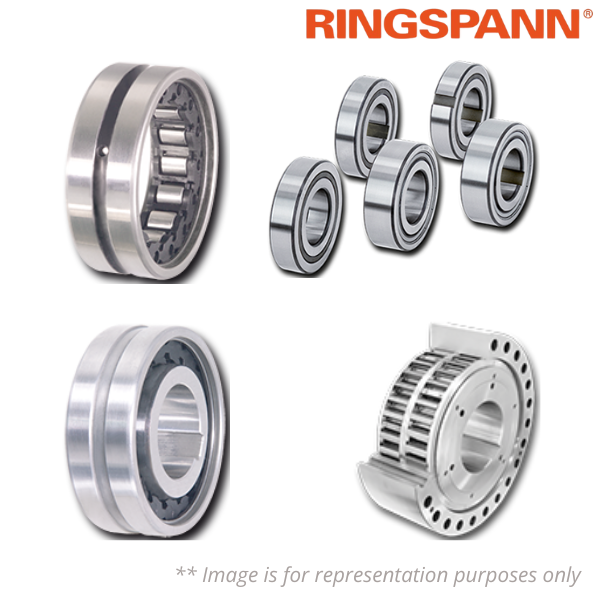 FN20R RINGSPANN Image