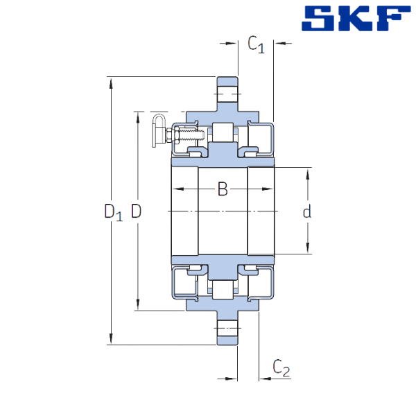 BC1-7273 SKF