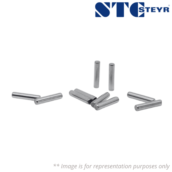 RC16X16 STEYR Image