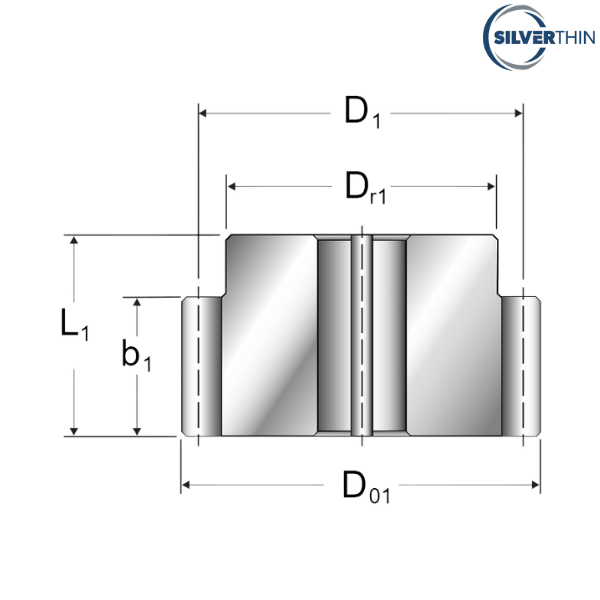 SP145324-17 SILVERTHIN