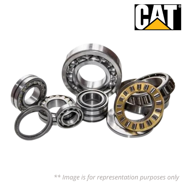 120-0293 CAT Image