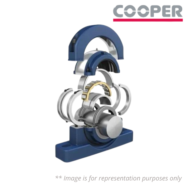 P41 Cooper Image