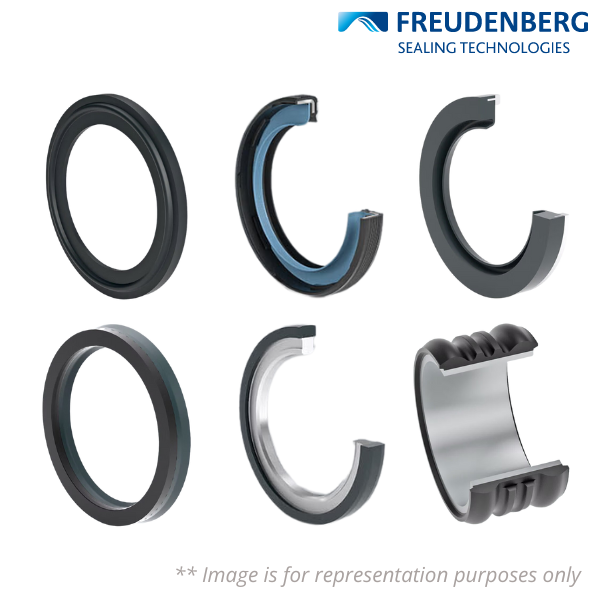 B2PT20X30X7-PTFE FREUDENBERG Image