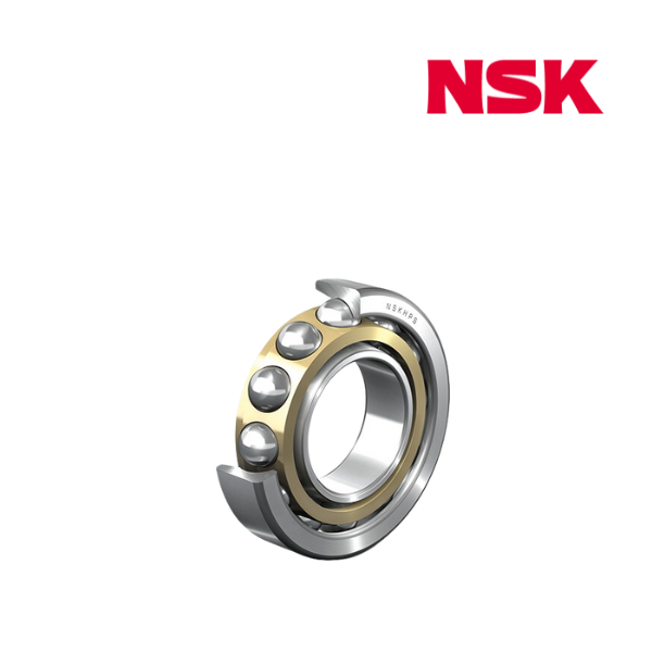 7332BMG NSK Image