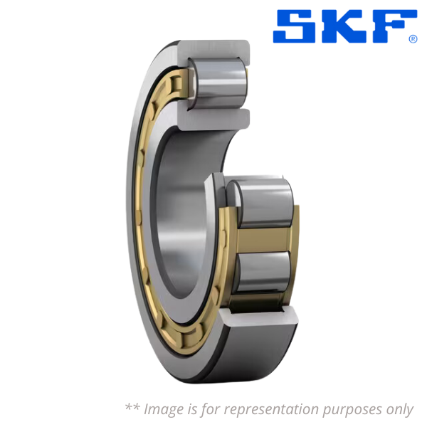 102304 SKF Image
