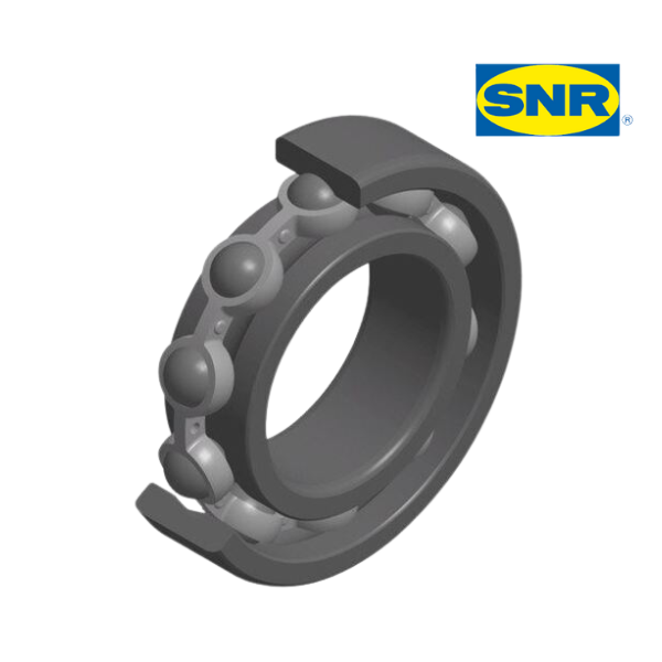 16003 SNR-Image